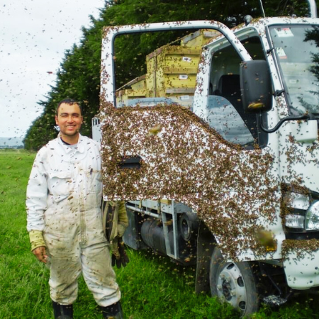 Umberto y puerta de camión cubieerta de abejas